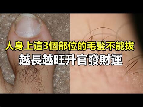 臉上長白毛是什麼意思|【臉上的白毛】臉上長白毛的命理分析與應對技巧